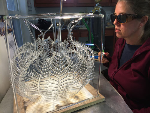 Creating a Glass Feather Star