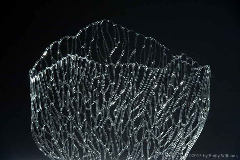 Glass Coral Skeleton Detail
